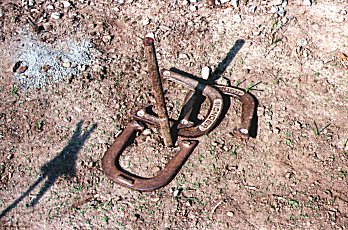 horseshoes.jpg